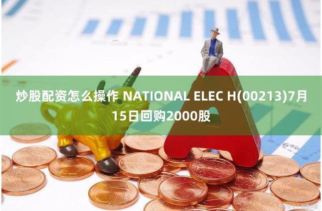 炒股配资怎么操作 NATIONAL ELEC H(00213)7月15日回购2000股