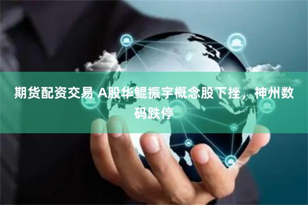 期货配资交易 A股华鲲振宇概念股下挫，神州数码跌停