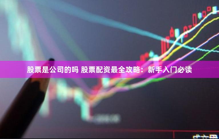 股票是公司的吗 股票配资最全攻略：新手入门必读