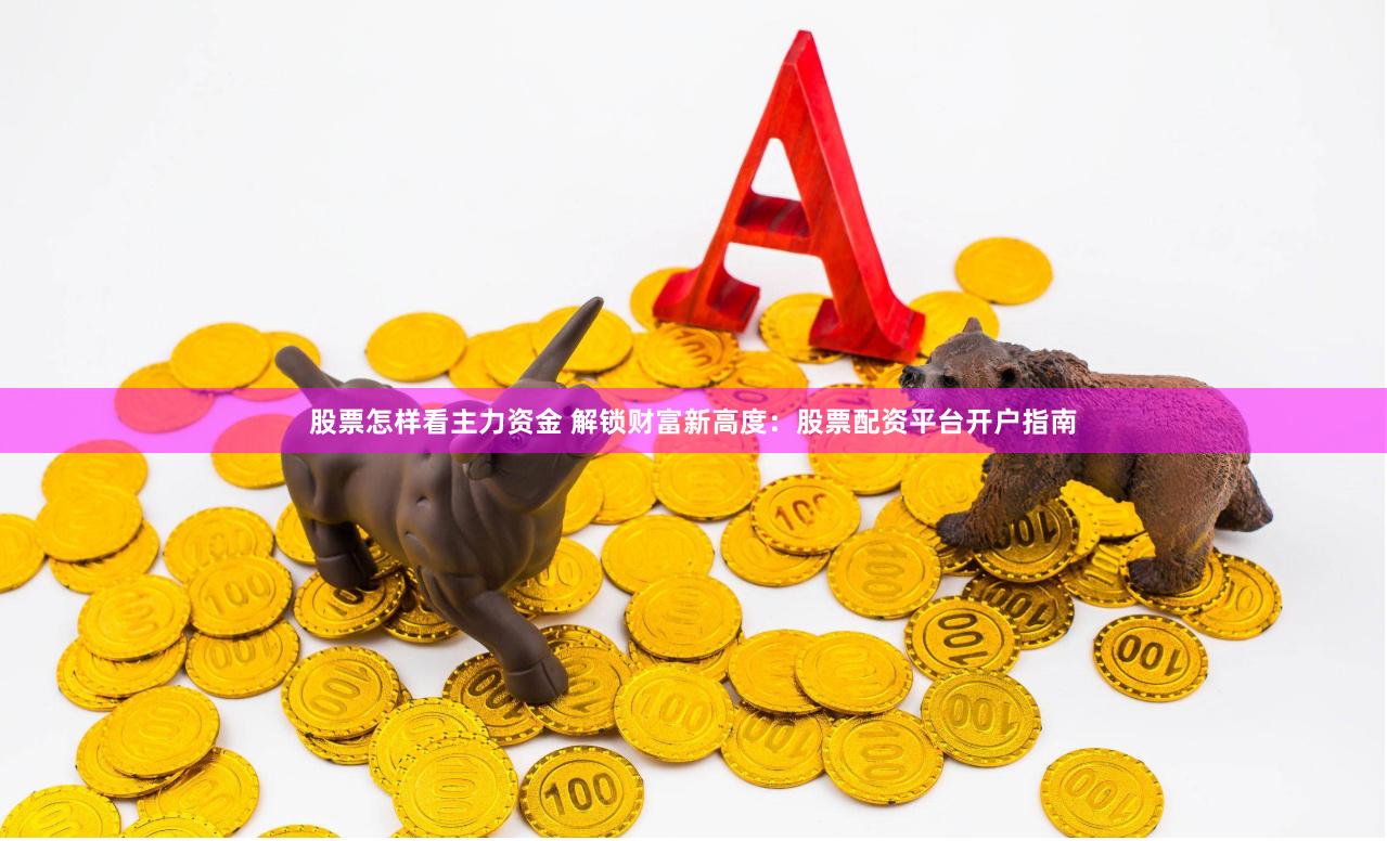 股票怎样看主力资金 解锁财富新高度：股票配资平台开户指南
